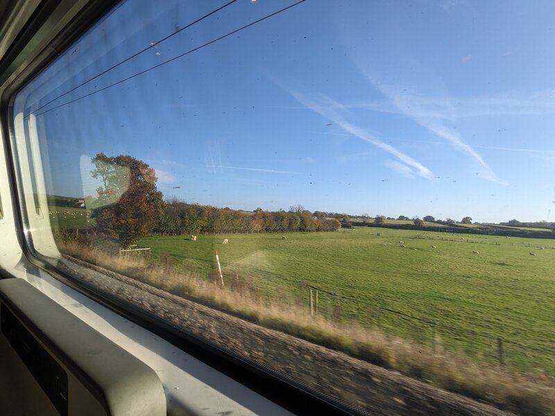 A peaceful green field outside the train window